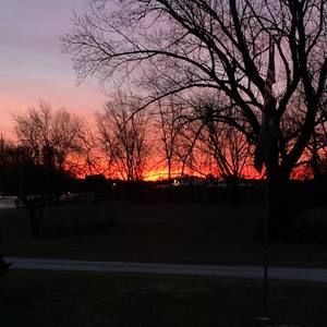 Meet your Posher, Savannah